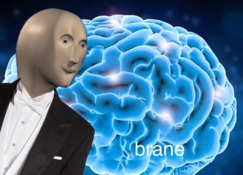 meme stonk cổ phiếu tăng vọt meme stonk cổ phiếu tăng vọt