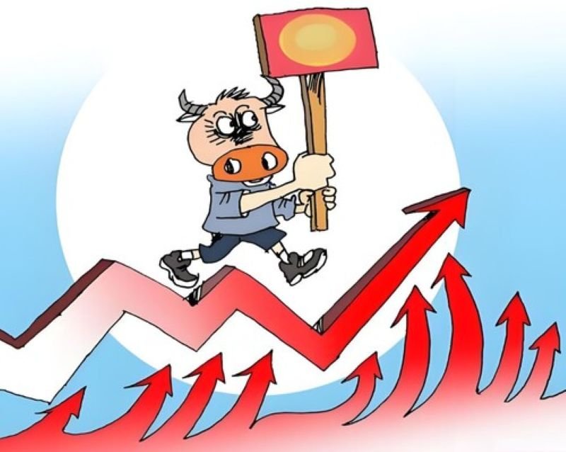 meme stonk xu hướng đầu tư meme stonk xu hướng đầu tư