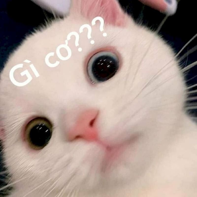 meme suy nghĩ độc lạ trending