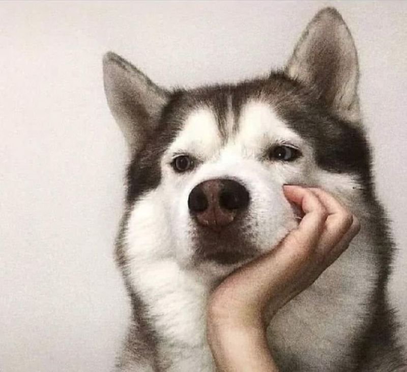 meme suy nghĩ hài hước trên mạng