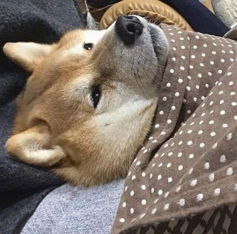 meme suy nghĩ lúc nửa đêm