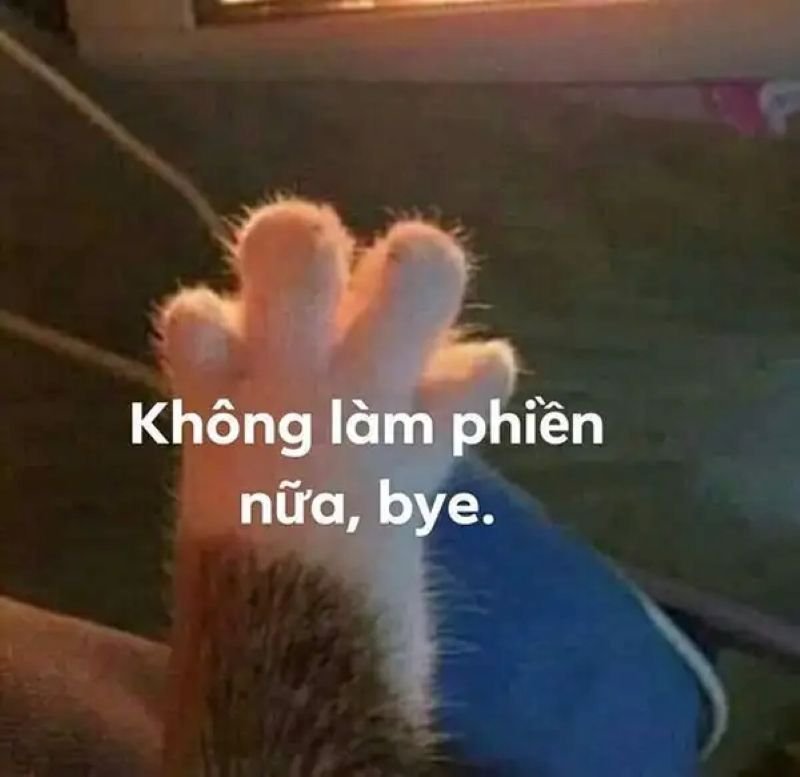 meme tạm biệt bạn bè siêu hài