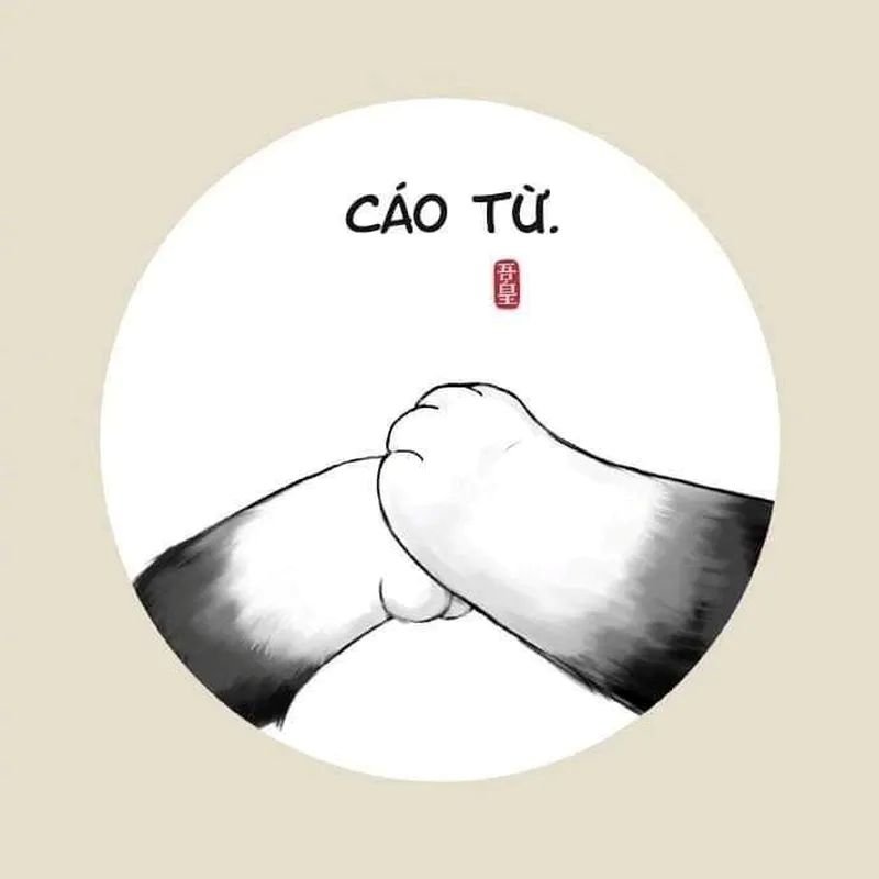 meme tạm biệt cực chất hiện nay