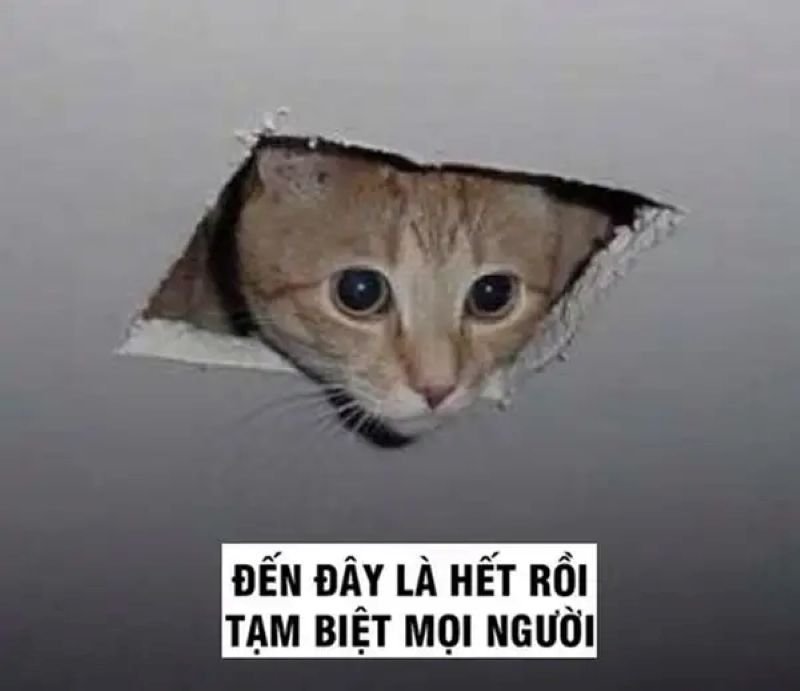 meme tạm biệt cực kỳ đáng yêu