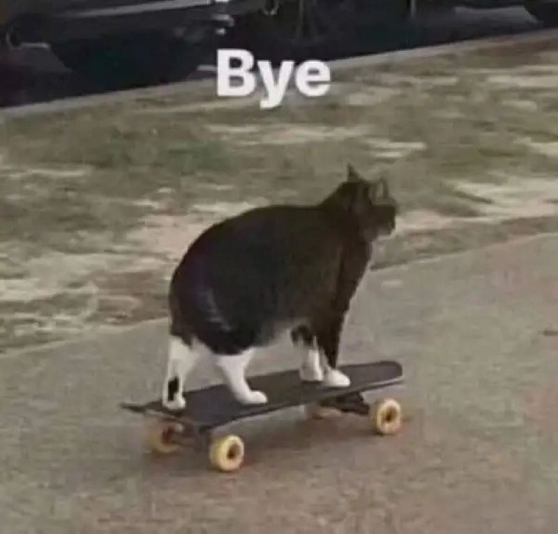 meme tạm biệt cực kỳ lầy lội