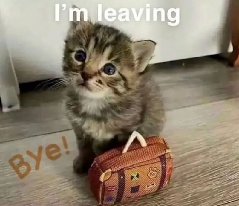 meme tạm biệt đầy sự bất lực
