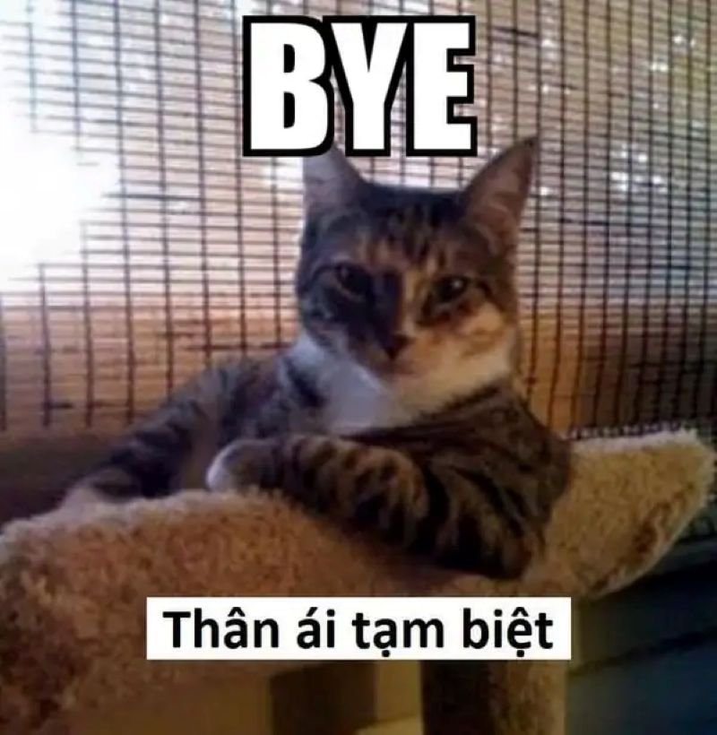 meme tạm biệt gây bão mạng xã hội