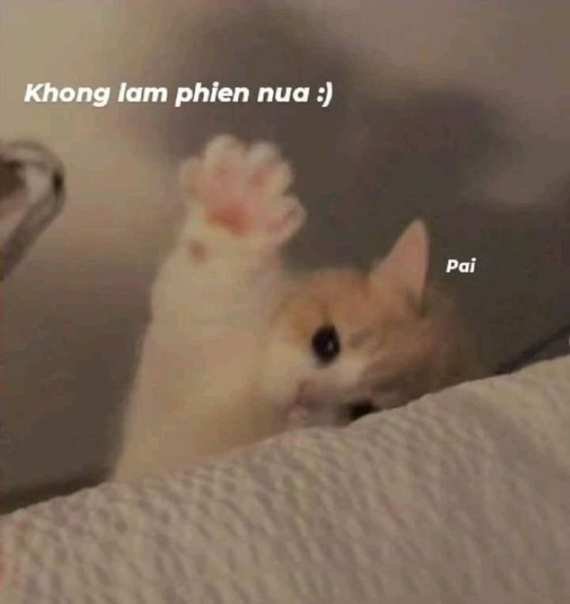 meme tạm biệt hài hước cực cuốn