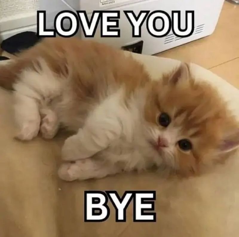 meme tạm biệt hài hước khó quên