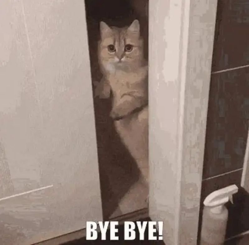 meme tạm biệt nhìn phát bật cười