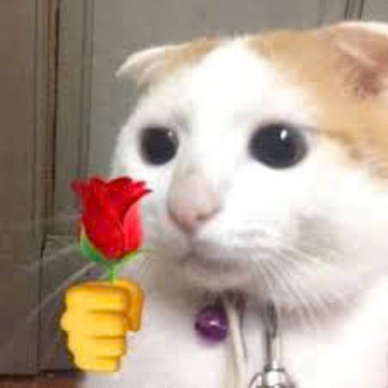 meme tặng hoa bất ngờ đầy thú vị