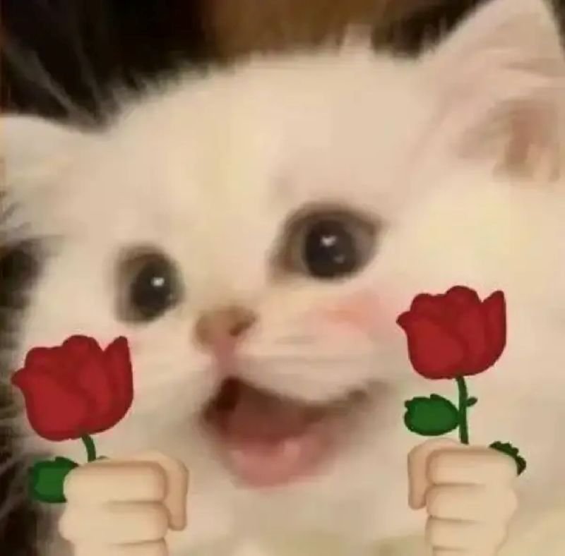 meme tặng hoa cho người thương cực cute