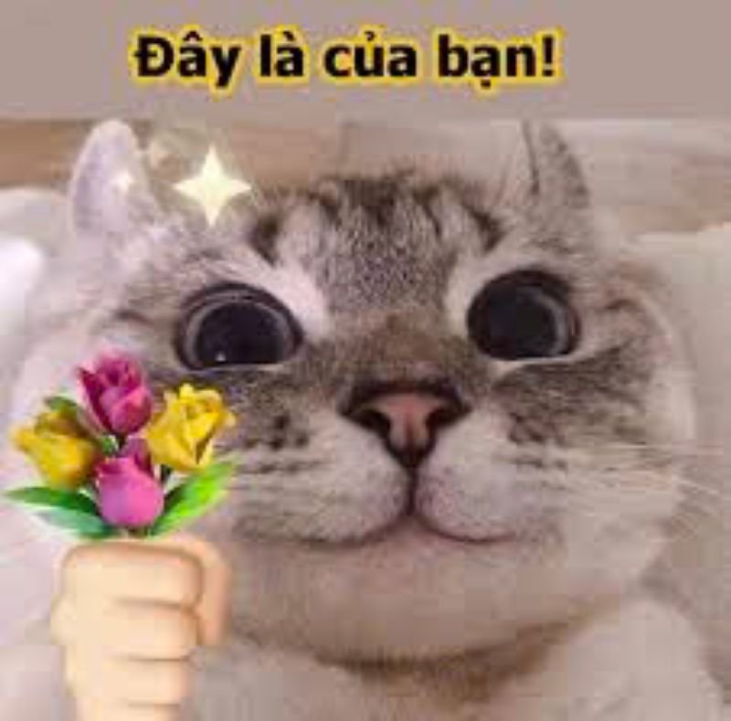 meme tặng hoa dành cho crush đáng yêu