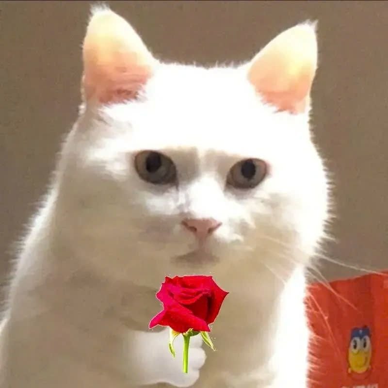 meme tặng hoa ngọt ngào và lãng mạn