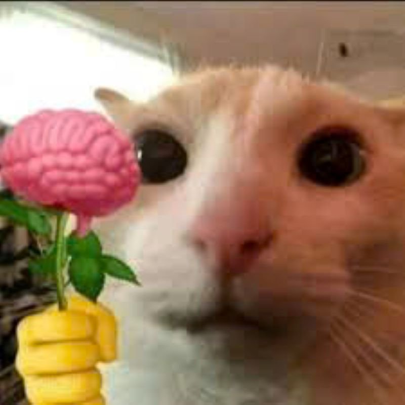 meme tặng hoa vui nhộn cực bắt trend