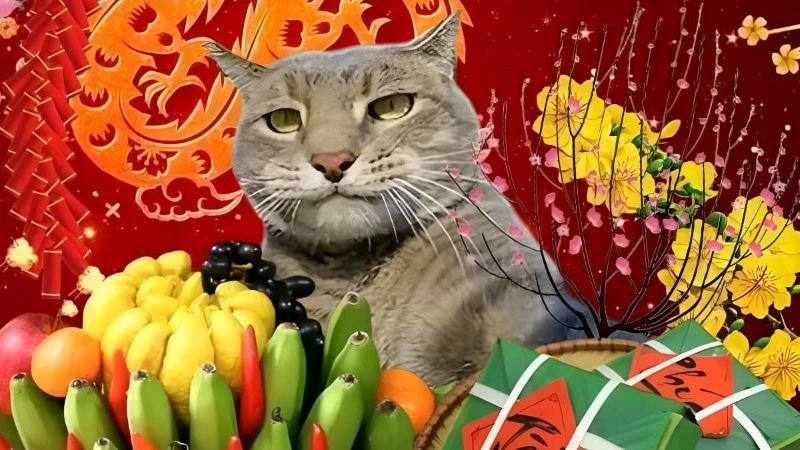 meme tết chế cực hài hước