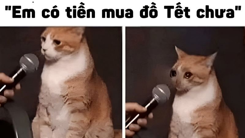 meme tết độc lạ cực bắt mắt