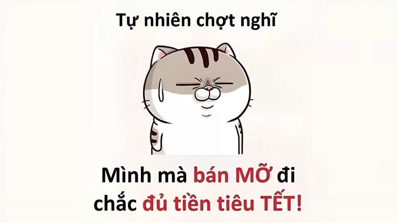 meme tết hài hước đầy sáng tạo