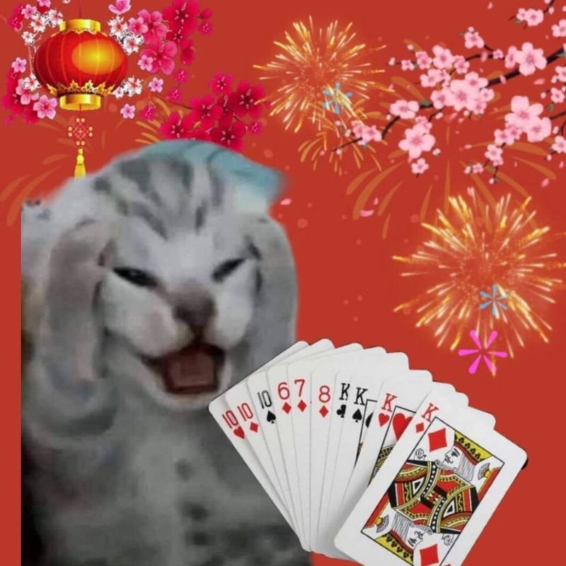 meme tết hài hước đón năm mới