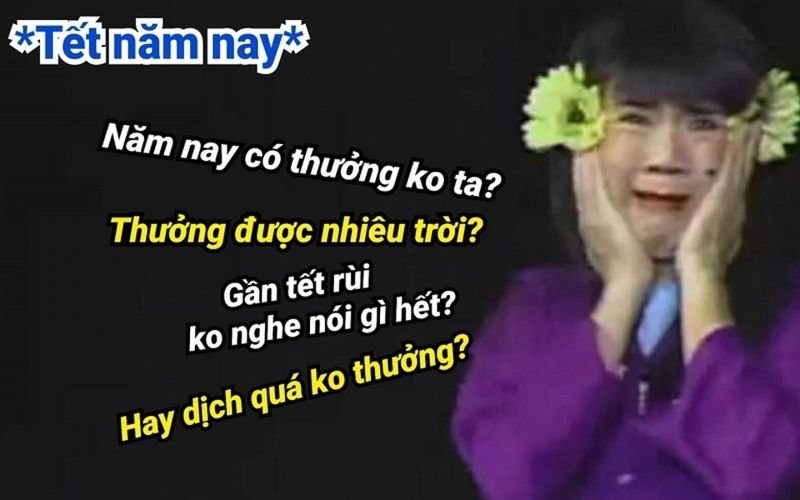 meme tết hài hước ngày xuân