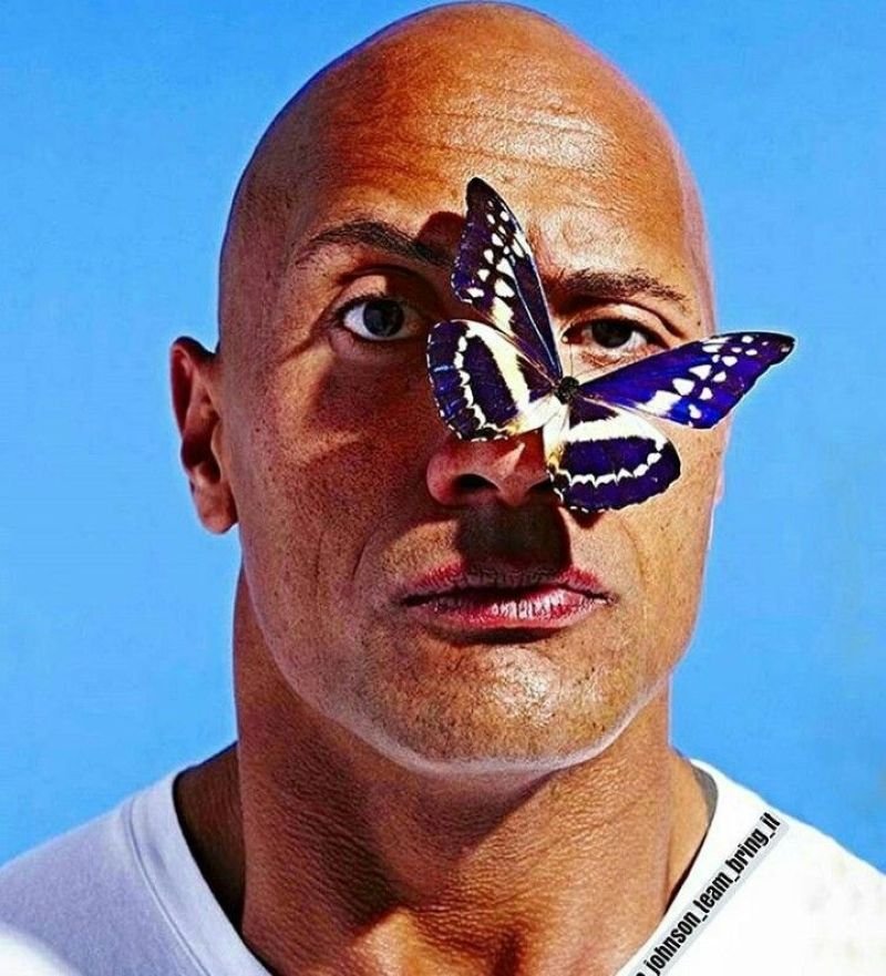 meme the rock bắt trend cực nhanh