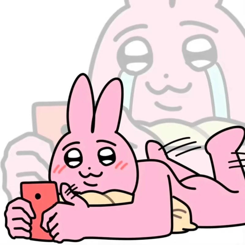 meme thỏ hồng cười không ngừng