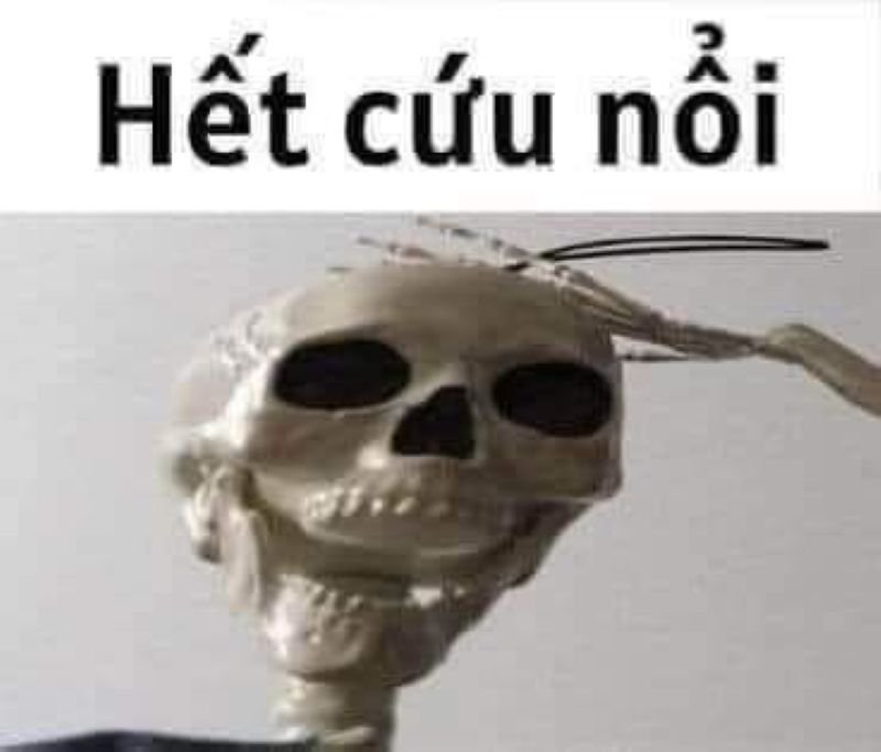 meme tin chuẩn chưa anh bắt trend nhanh