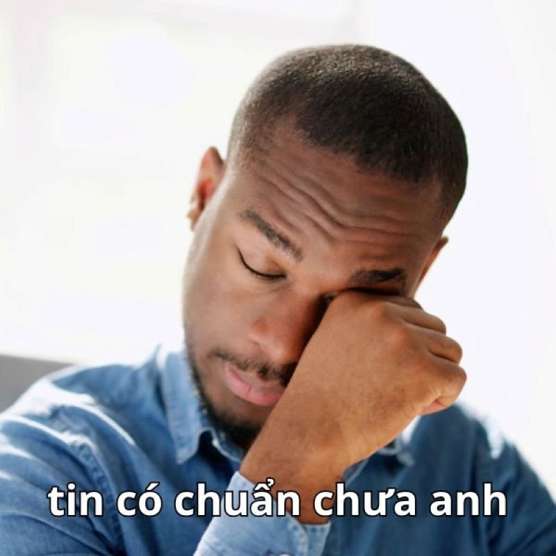 meme tin chuẩn chưa anh biểu cảm hài hước