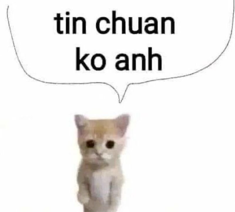 meme tin chuẩn chưa anh cười xỉu