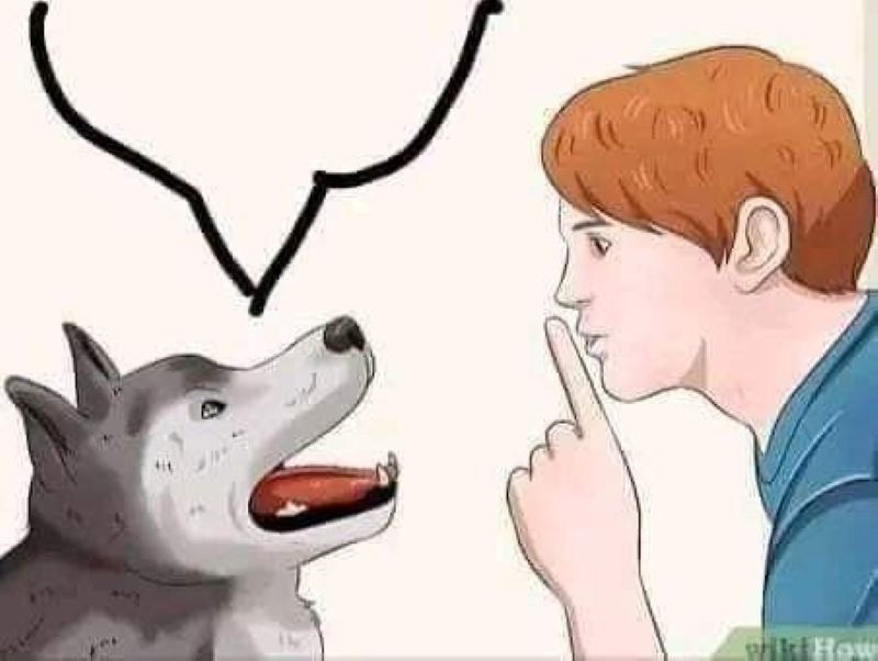 meme tin chuẩn chưa anh hài hước cực mạnh
