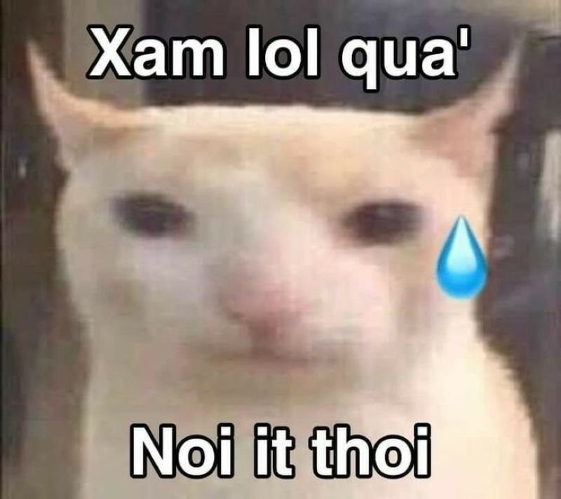 meme tin chuẩn chưa anh hài không tưởng