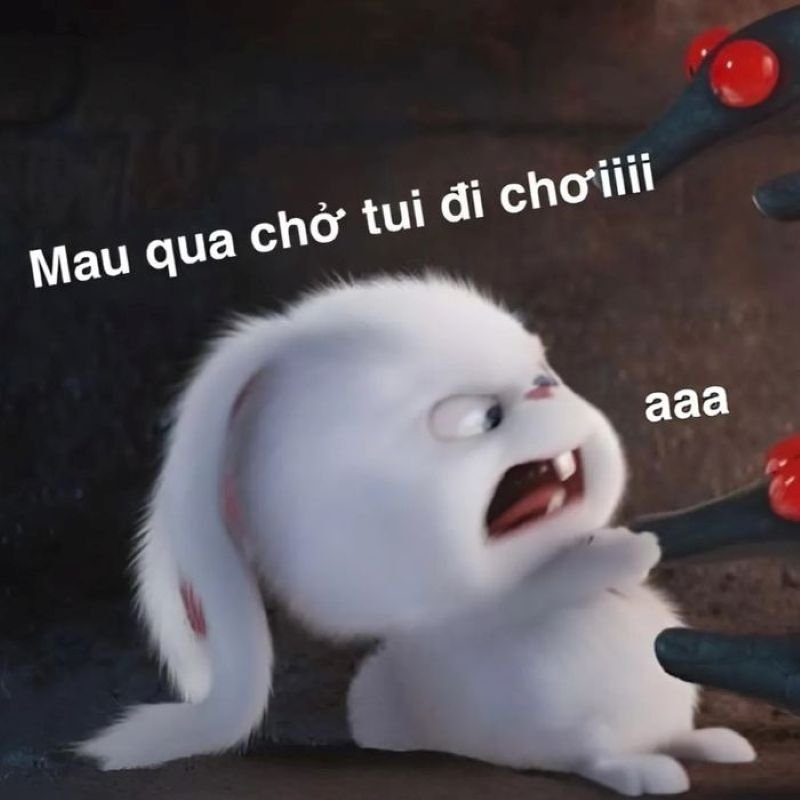 meme tình yêu bá đạo của các cặp đôi
