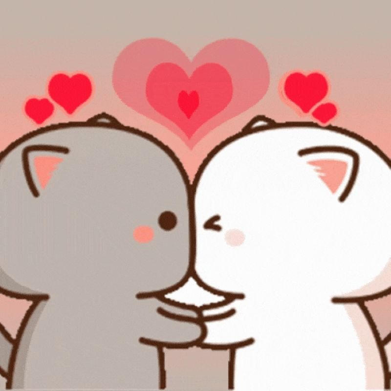meme tình yêu dành cho những ngày cô đơn
