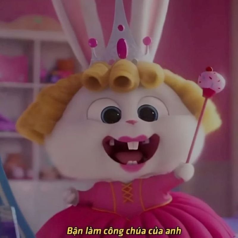 meme tình yêu hài hước về cuộc sống