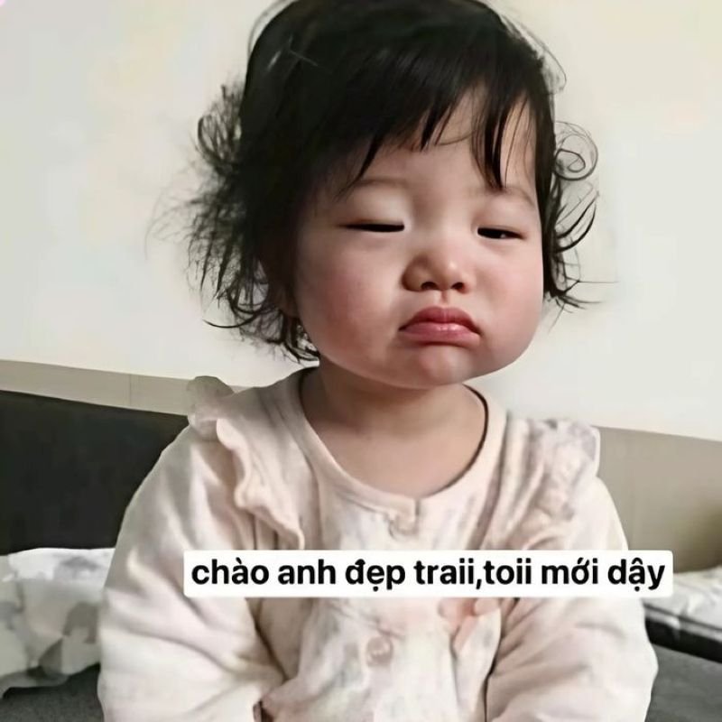 meme tình yêu khiến dân mạng thích thú