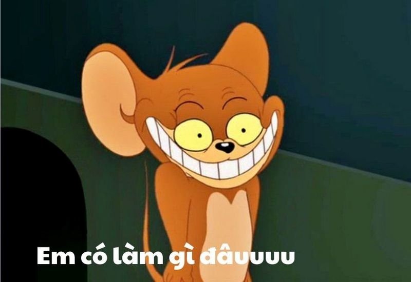 meme tom and jerry ảnh chế siêu hài