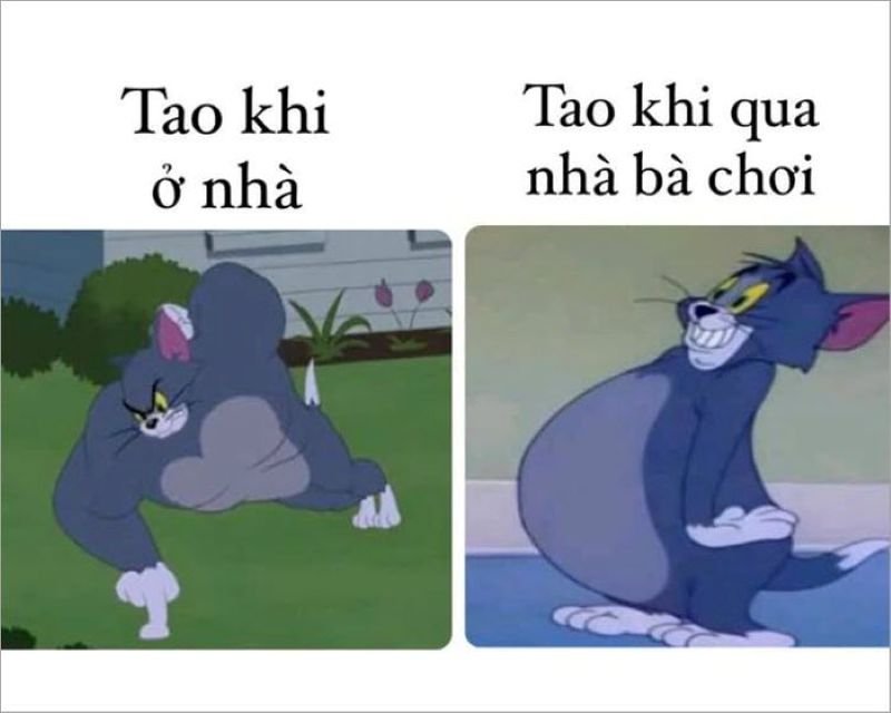 meme tom and jerry biểu cảm khó đỡ