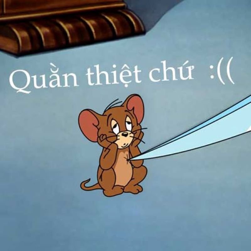 meme tom and jerry cực kỳ bá đạo