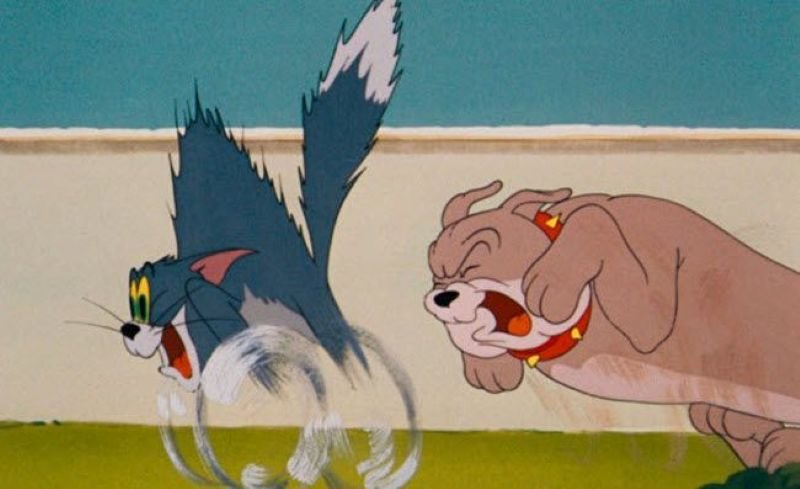 meme tom and jerry cười không ngừng