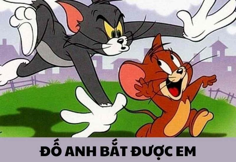 meme tom and jerry cười ra nước mắt