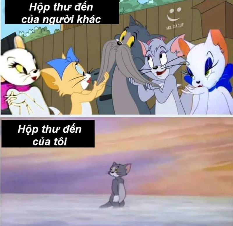 meme tom and jerry hài hước cực mạnh