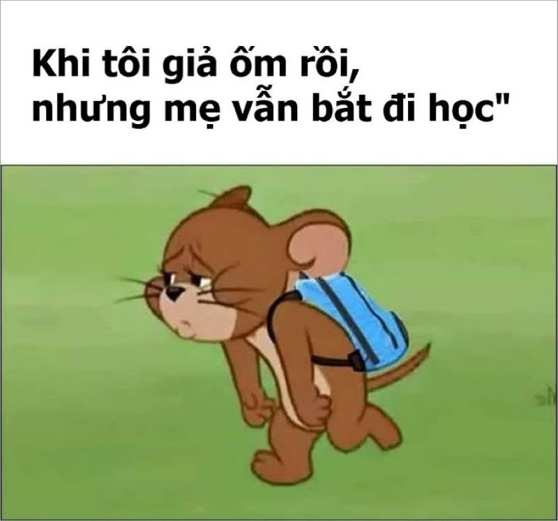 meme tom and jerry khiến dân mạng cười