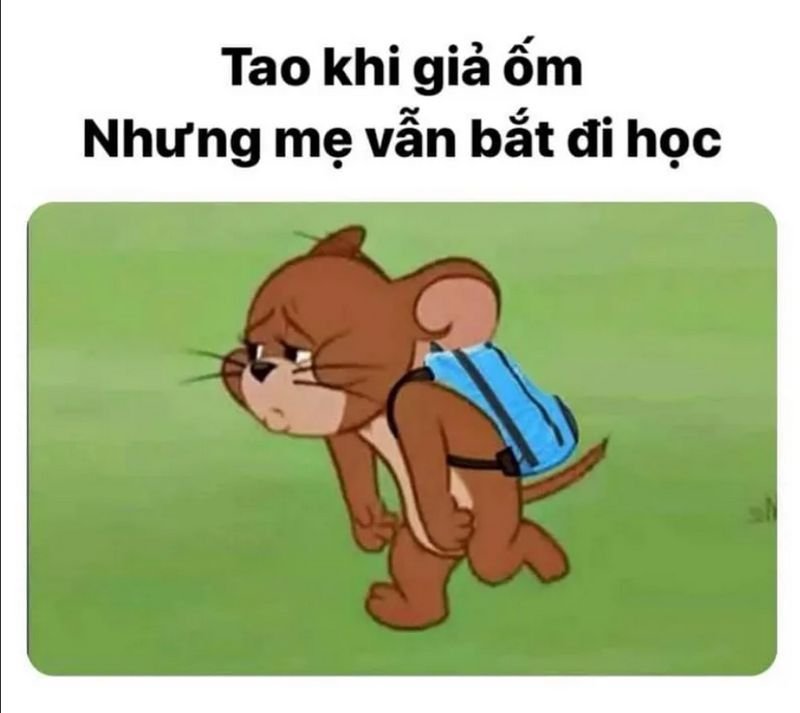 meme tom and jerry khoảnh khắc cực lầy