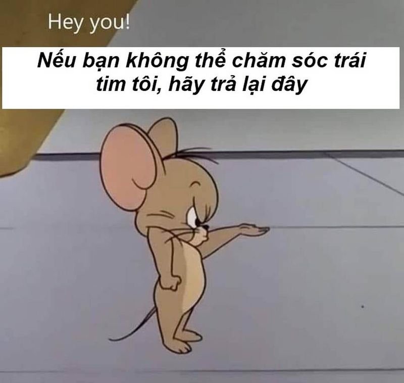 meme tom and jerry khoảnh khắc tấu hài