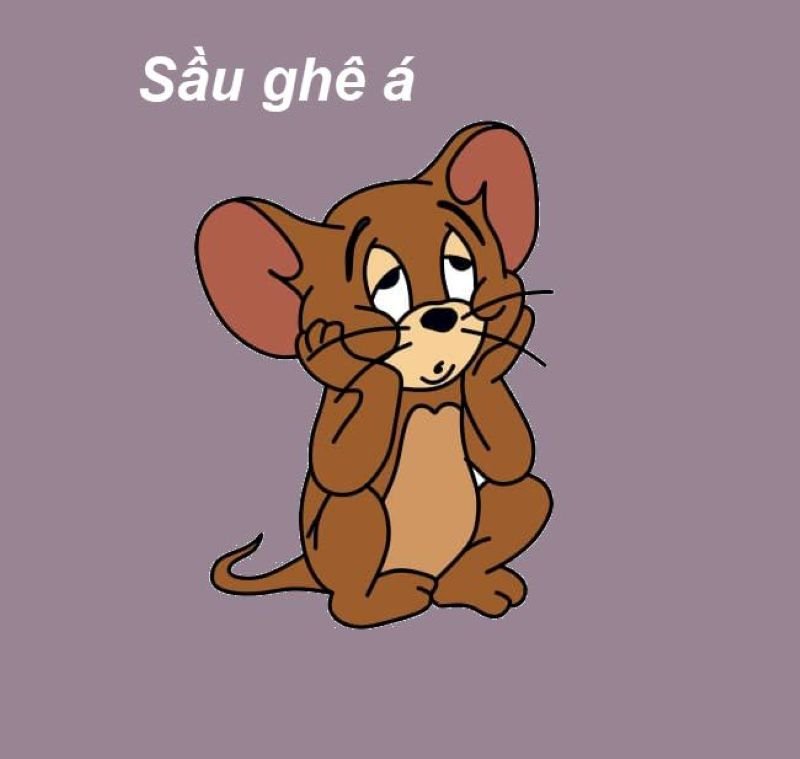 meme tom and jerry nhìn là bật cười