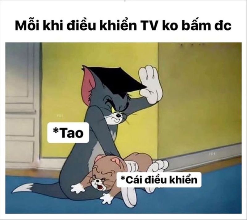 meme tom and jerry troll nhau hài hước