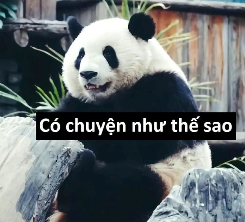 meme trung quốc biểu cảm đi vào lòng