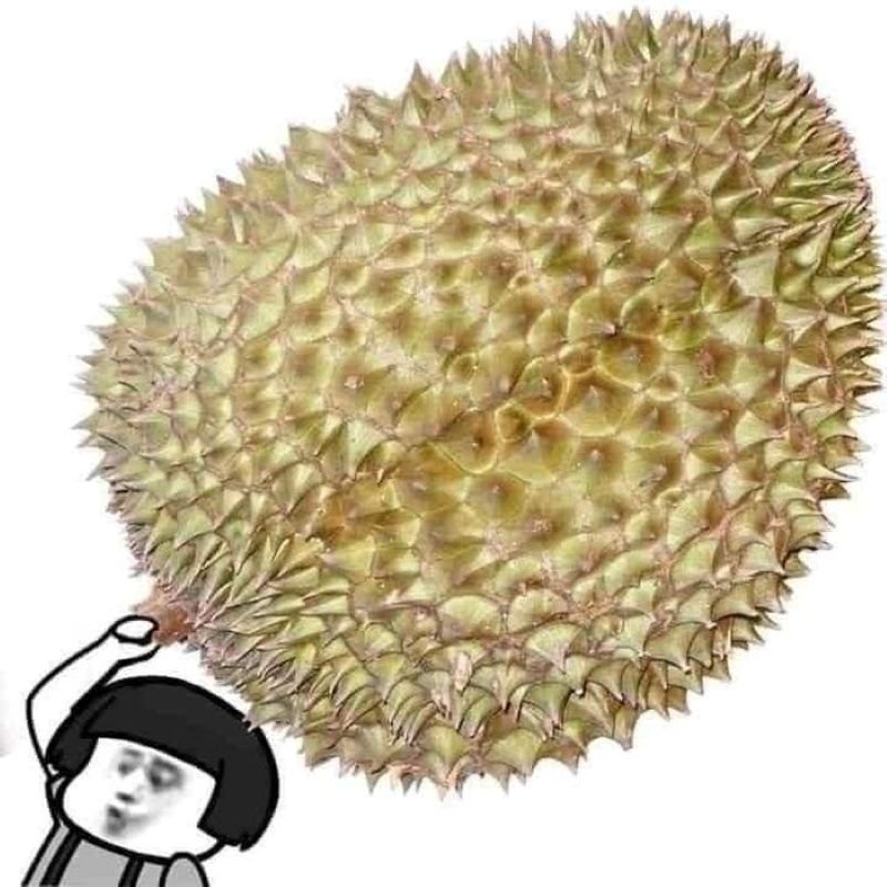 meme trung quốc khiến ai cũng thích