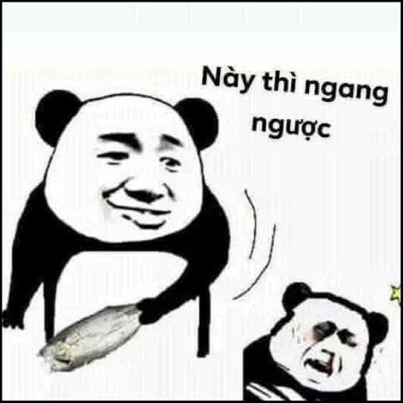 meme trung quốc khoảnh khắc cực tấu hài