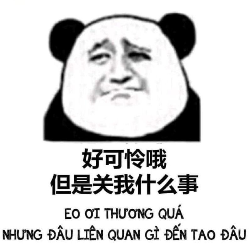 meme trung quốc nhìn là muốn cười